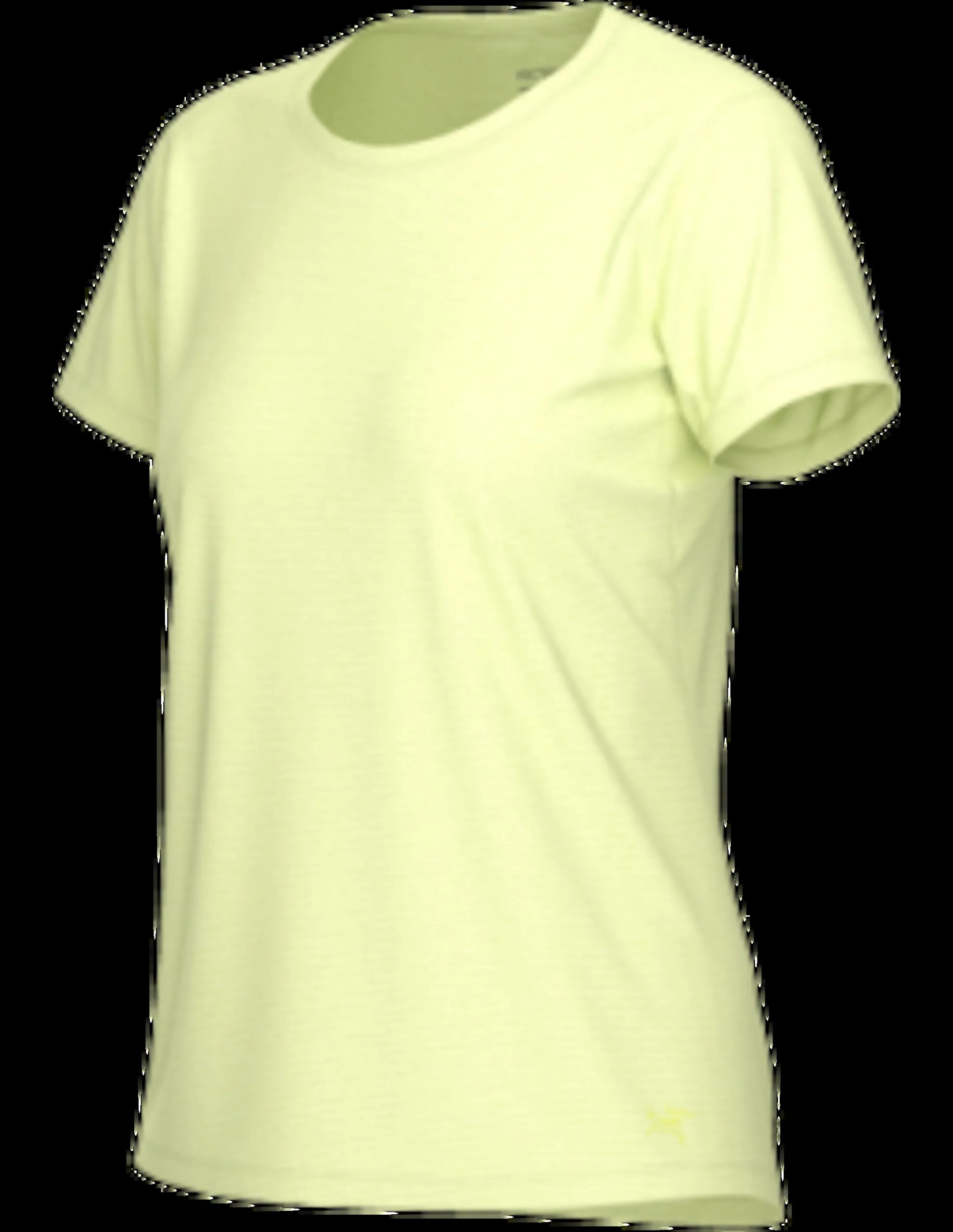 Arc’teryx Taema Crew SS Dames (Maat – M, Kleur – Ray Heather)