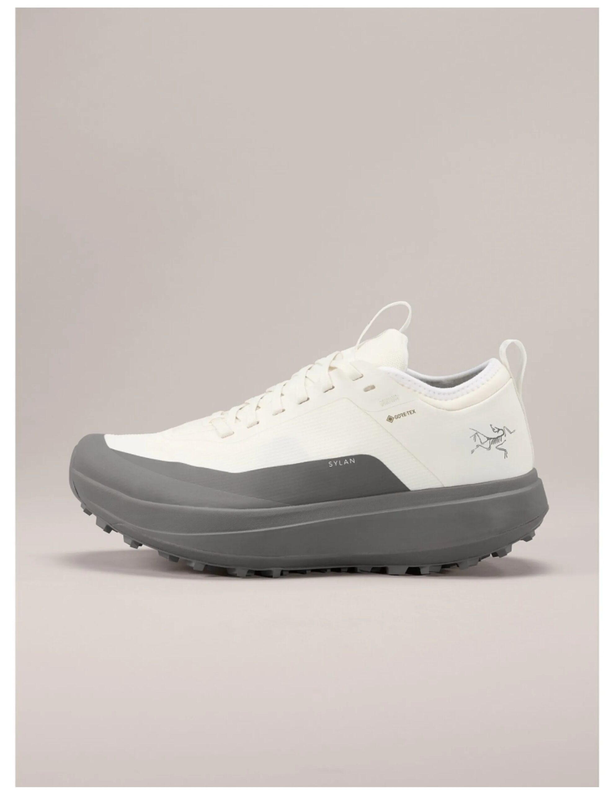 Arc’teryx Women’s Sylan GTX Runningshoe (Maat – 7, Kleur – Arctic Silk/Void)
