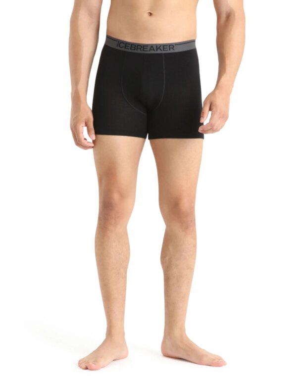 Icebreaker Anatomica Boxershort Heren (Maat - M, Kleur - Black)