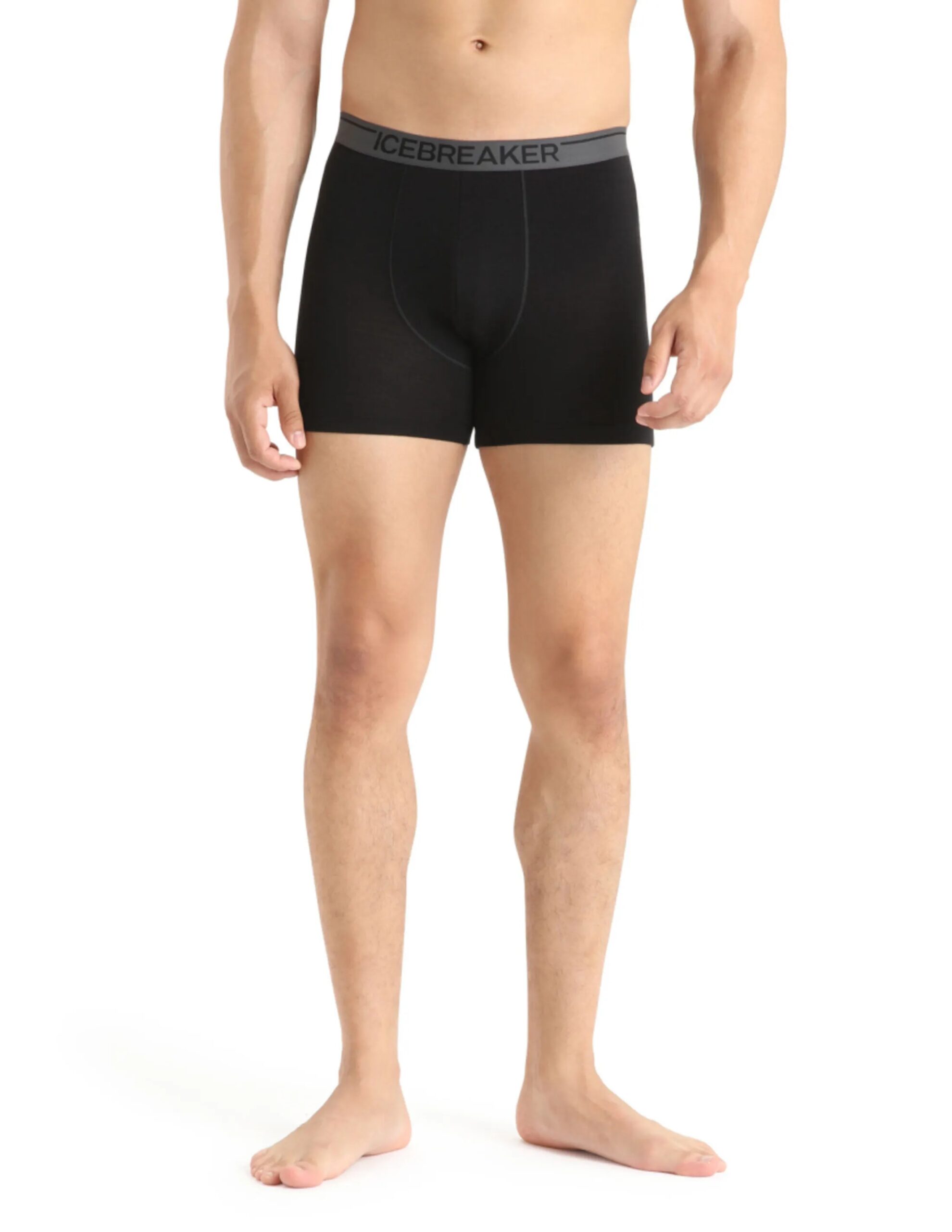 Icebreaker Anatomica Boxershort Heren (Maat – M, Kleur – Black)