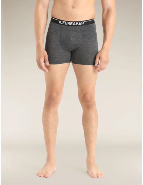 Icebreaker Anatomica Boxershort Heren (Maat - M, Kleur - Jet Heather)