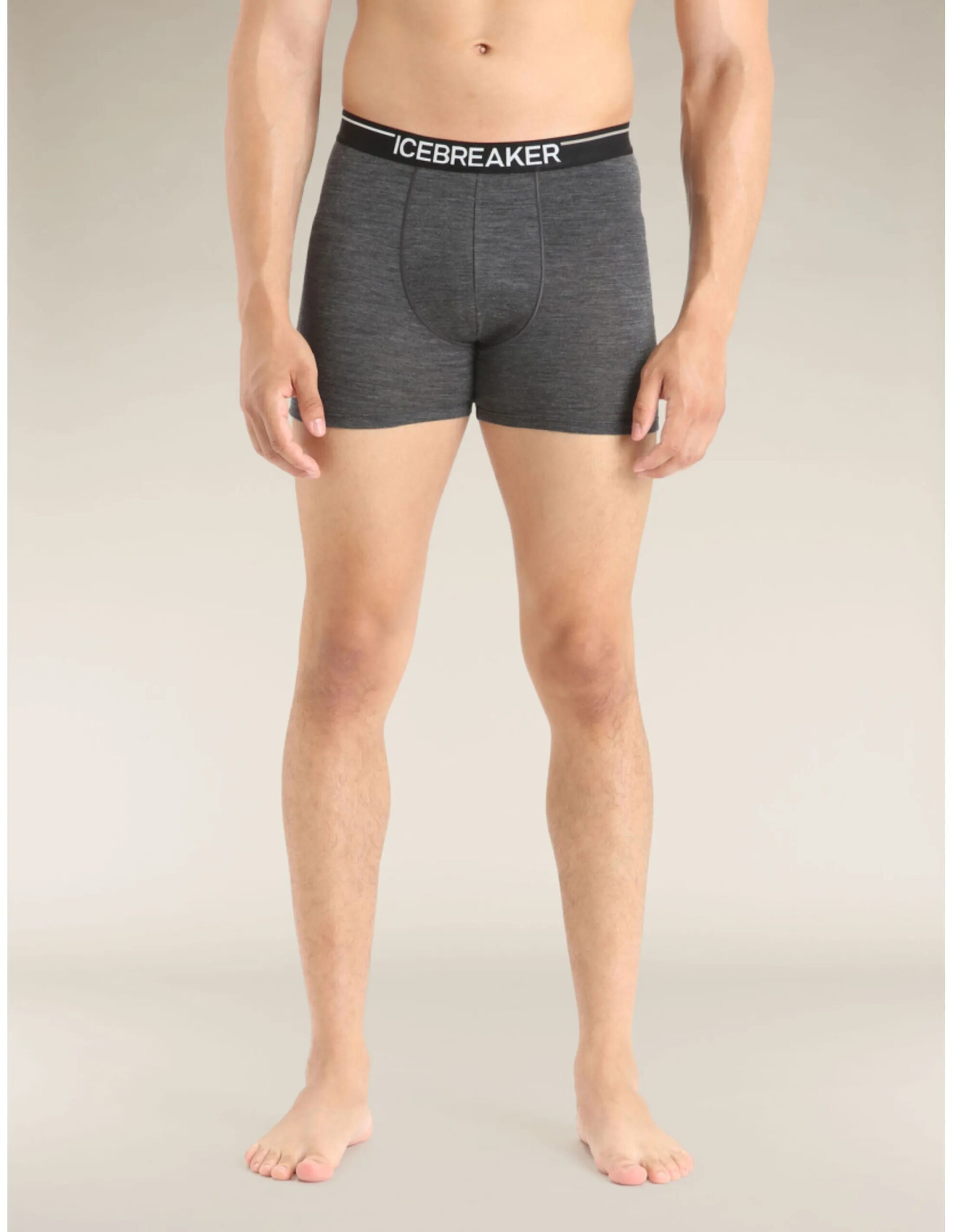 Icebreaker Anatomica Boxershort Heren (Maat – M, Kleur – Jet Heather)