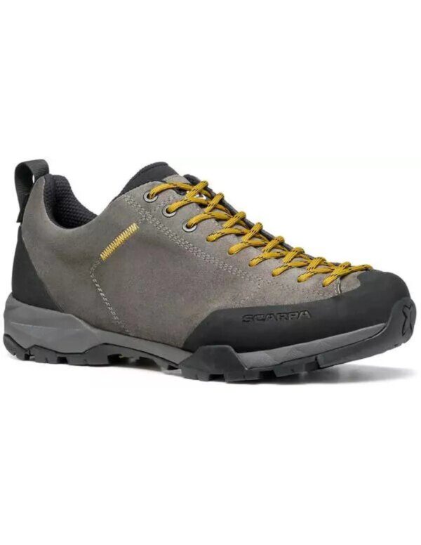 Mojito Trail GTX (Maat - 46,5, Kleur - Titanium/mustard)