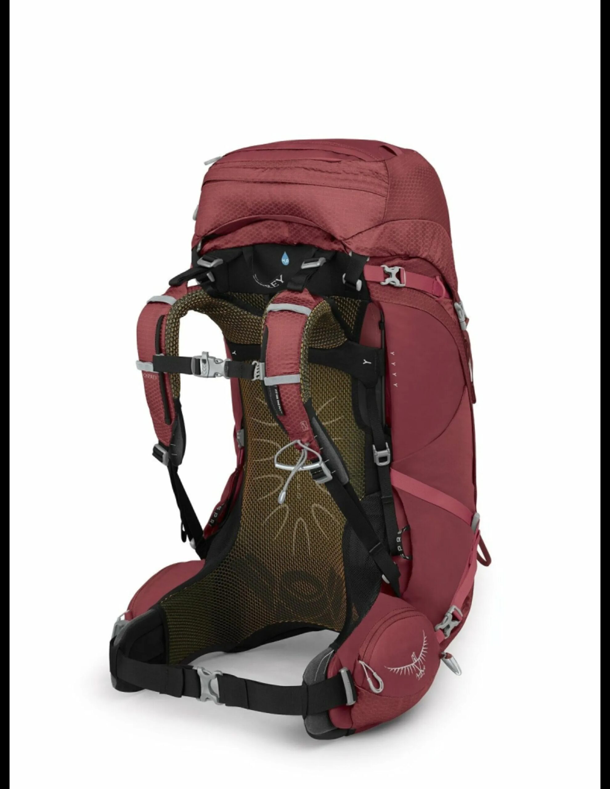 Osprey Aura AG 50L Rugzak Dames (Maat – WM/L, Kleur – Berry Sorbet Red)