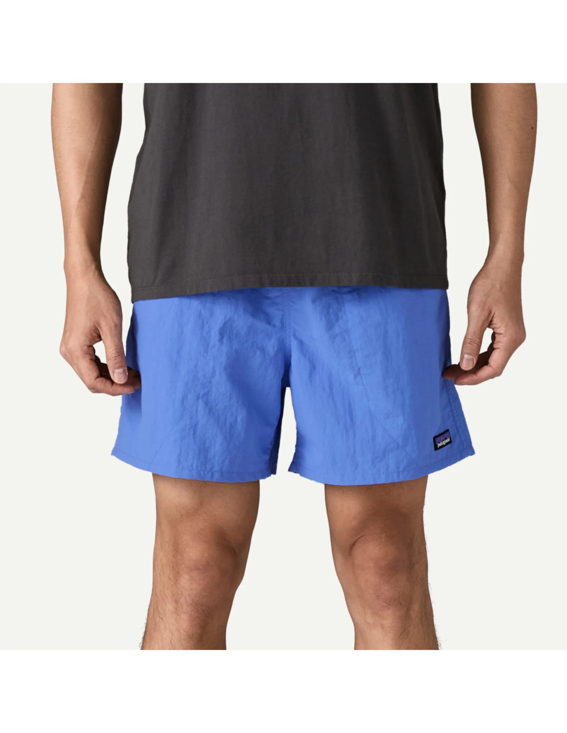 Patagonia Baggies Shorts – 5 in. Heren (Maat – XL, Kleur – Abundant Blue)