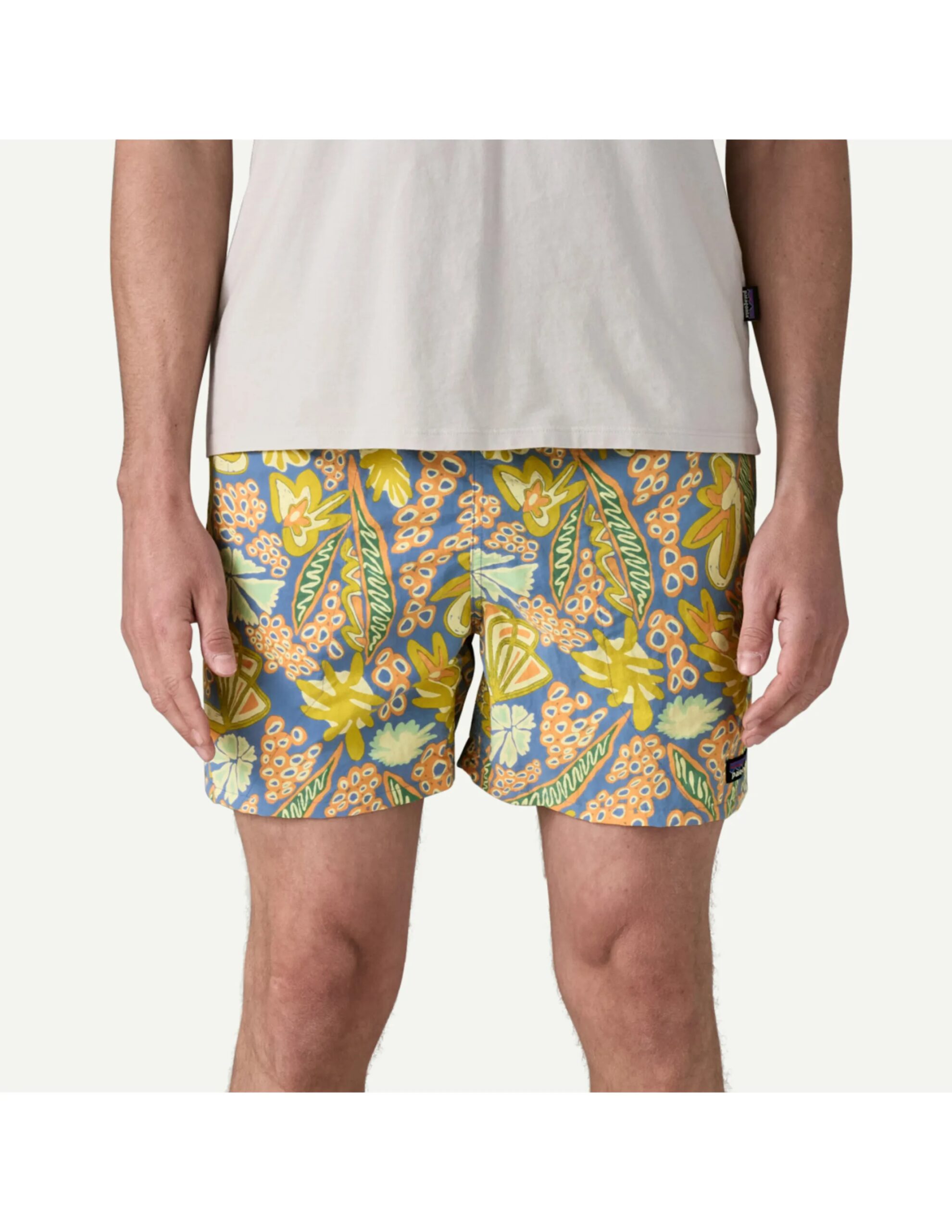 Patagonia Baggies Shorts – 5 in. Heren (Maat – XL, Kleur – Flourish: Abundant Blue)