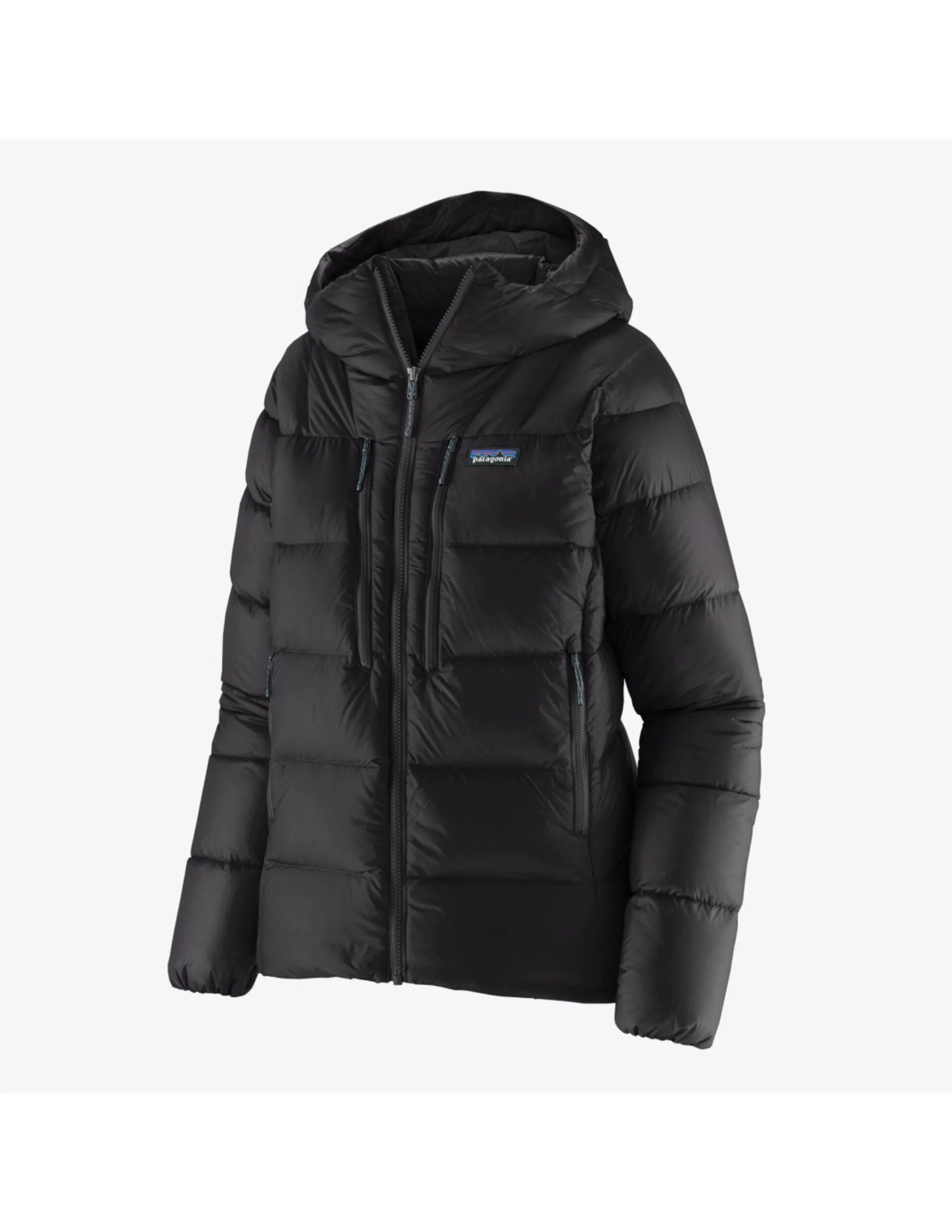Patagonia Women’s Fitz Roy Down Hoody (Maat – L, Kleur – Black)