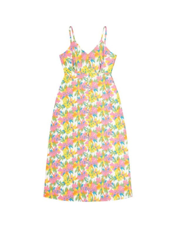 Picture Bermina Dress (Maat - S, Kleur - Alstro Print)