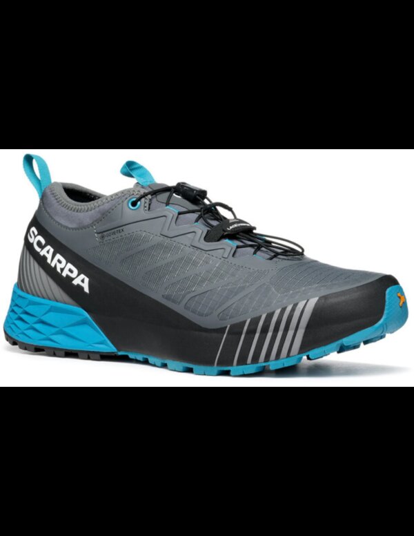 Ribelle Run GTX (Maat - 46, Kleur - Anthracite)