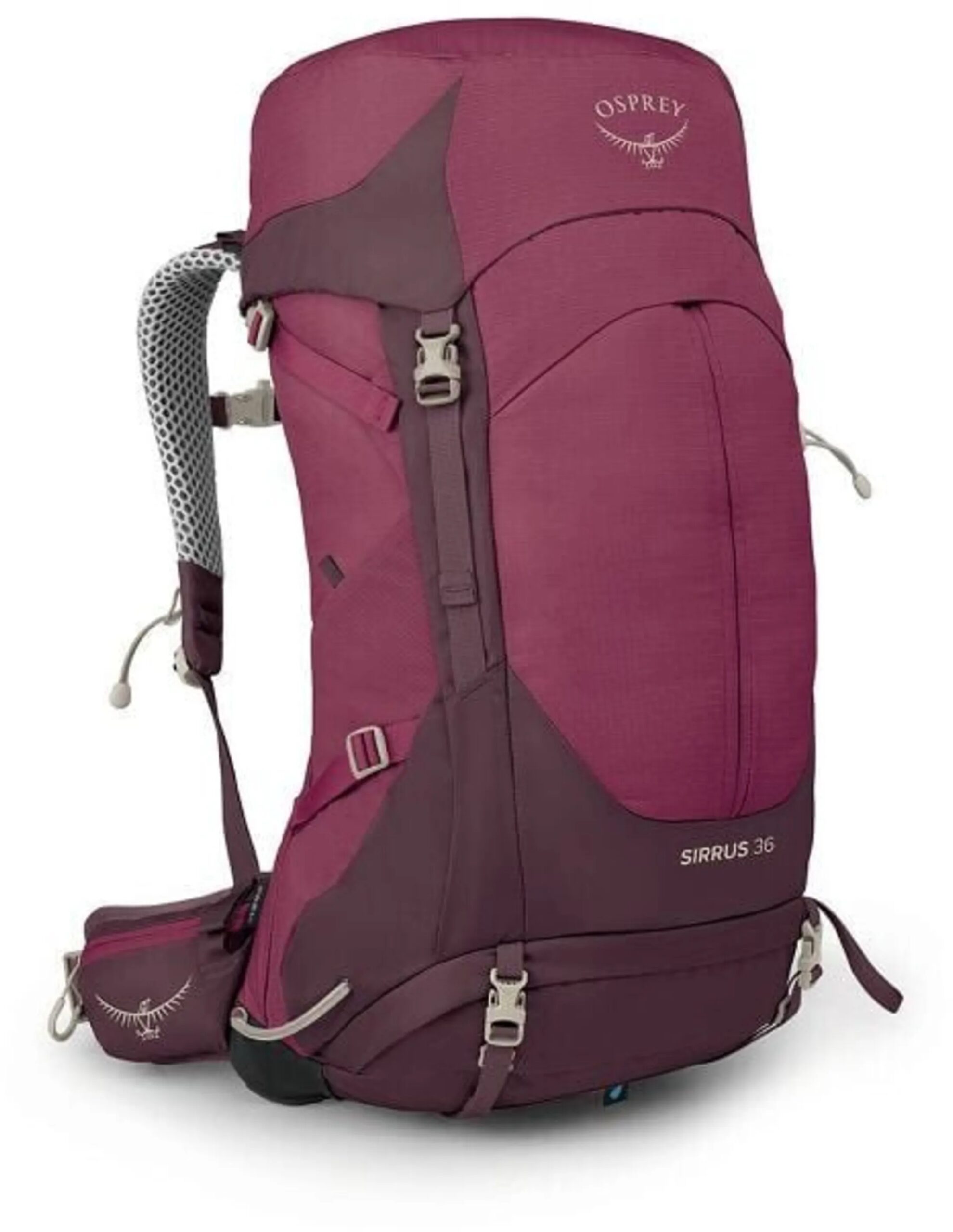 Sirrus 36 (Maat – OS, Kleur – Elderberry Purple/Chiru Tan)