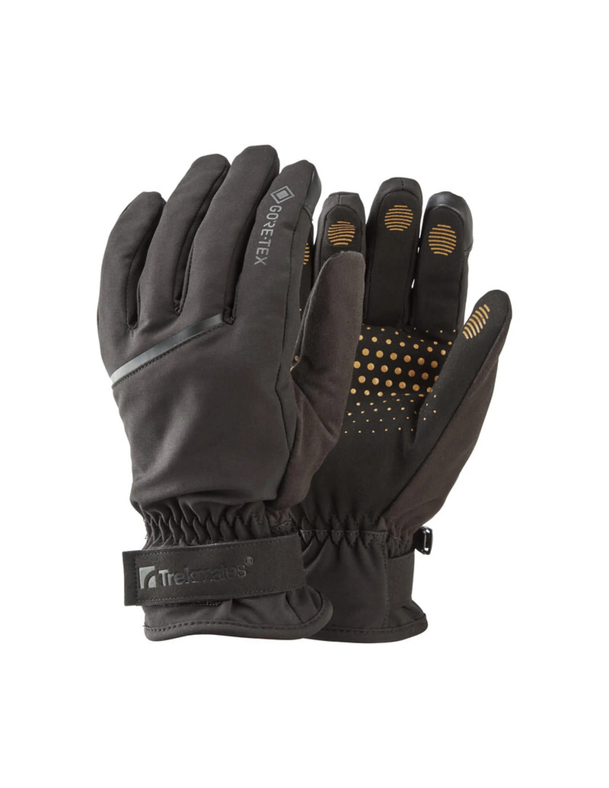 Trekmates Friktion GTX Glove (Maat – XL, Kleur – Black)