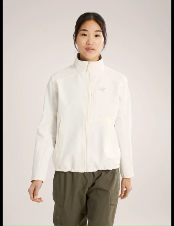 Arc'teryx Gamma Jacket Dames (Maat - L, Kleur - Arctic Silk)