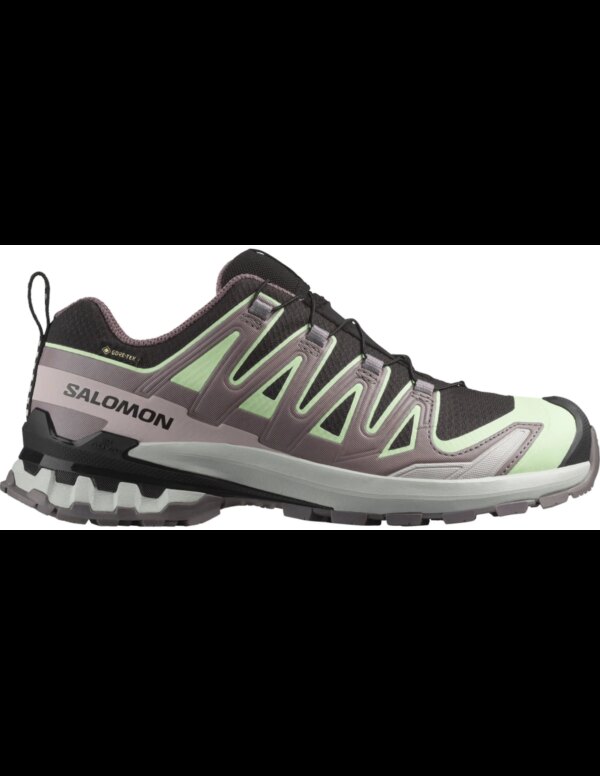 Salomon Shoes Xa Pro 3D V9 GTX Trailrunning Dames (Maat - 7, Kleur - Black/PatinaGreen/GreyViolet)